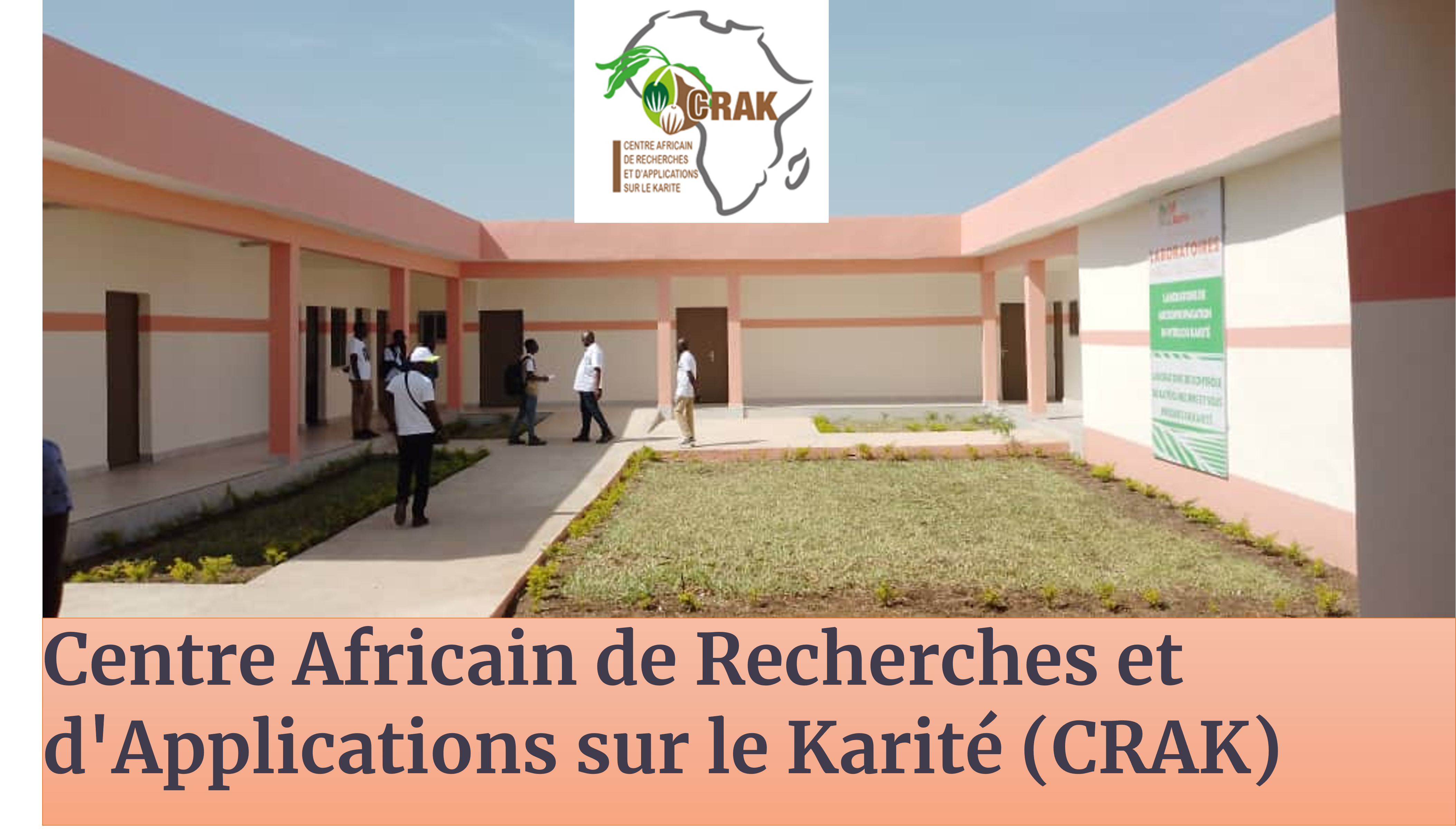 Recherche, innovation et accompagnement stratégique de la fi…