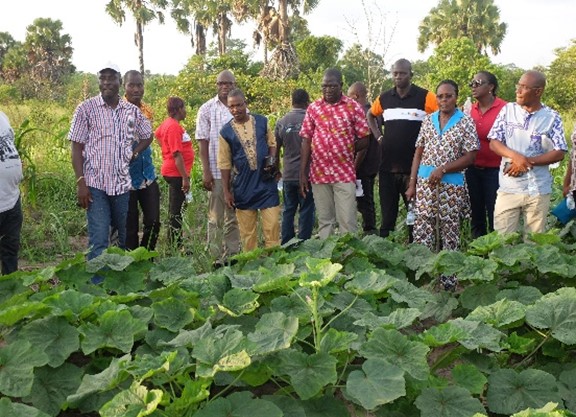Station expérimentale de Bringakro pour essais agricoles et …