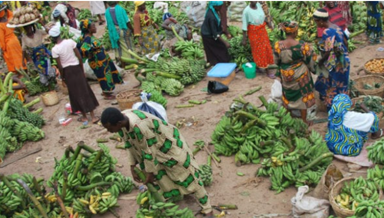 Agriculture, sécurité alimentaire et transformations socio-é…