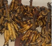 Accompagnement à la mise en place d’unités de transformation…